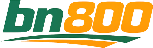 bn800 logo for Bangladesh gaming hub